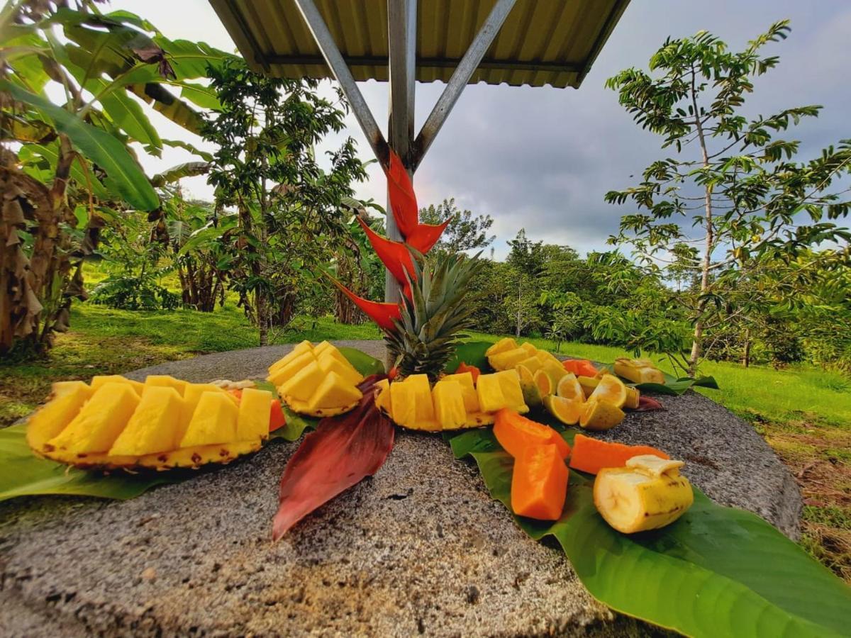 Cabanas Montanas Del Tenorio Rio Celeste Bagian luar foto