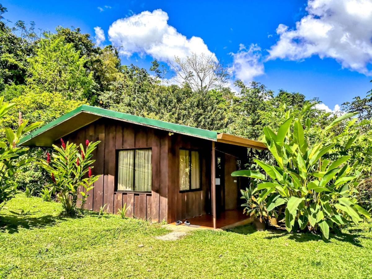 Cabanas Montanas Del Tenorio Rio Celeste Bagian luar foto