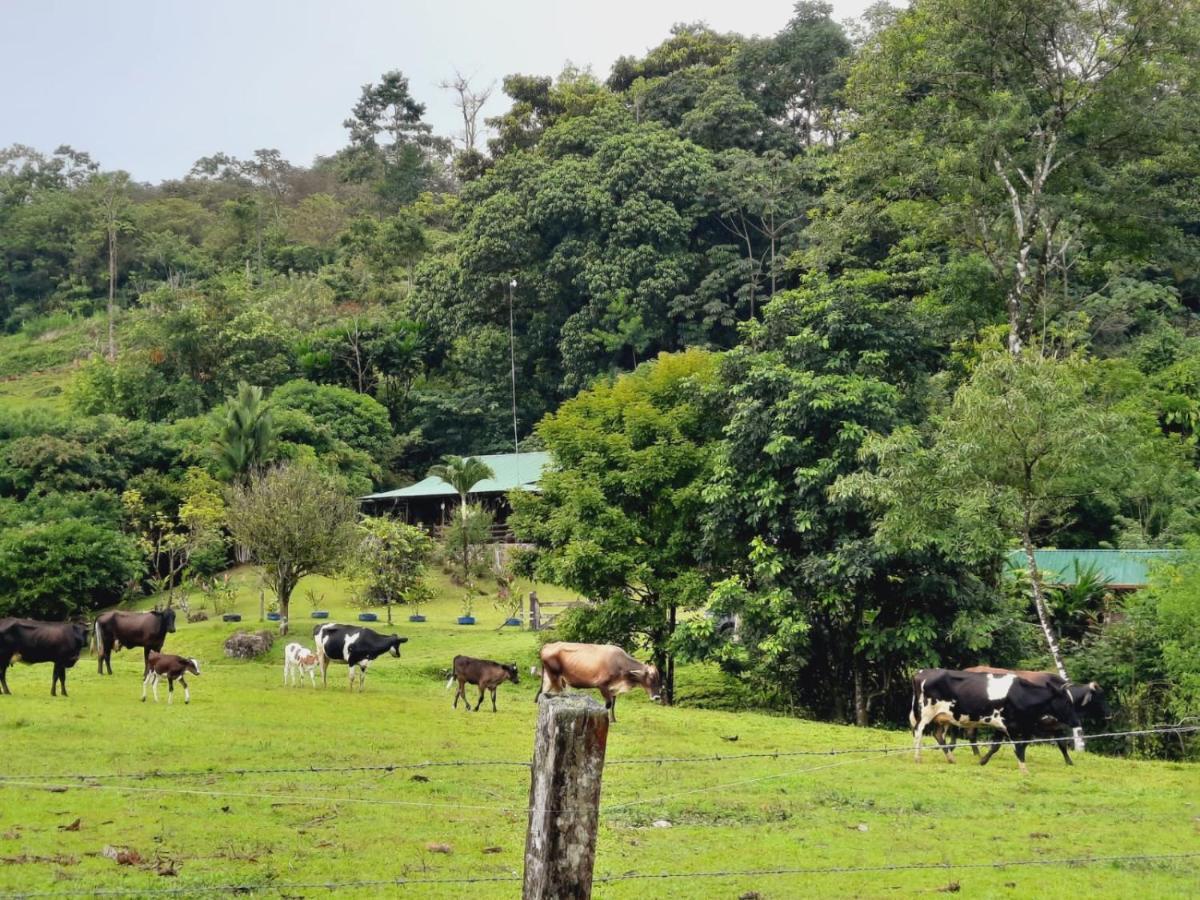 Cabanas Montanas Del Tenorio Rio Celeste Bagian luar foto